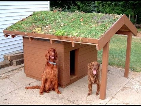 75 top idées de lits pour chiens à faire soi-même 34 75 top idées de lits pour chiens à faire soi-même 34