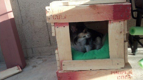 75 top idées de lits pour chiens à faire soi-même 36 75 top idées de lits pour chiens à faire soi-même 36