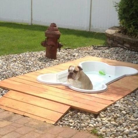 75 top idées de lits pour chiens à faire soi-même 46 75 top idées de lits pour chiens à faire soi-même 46