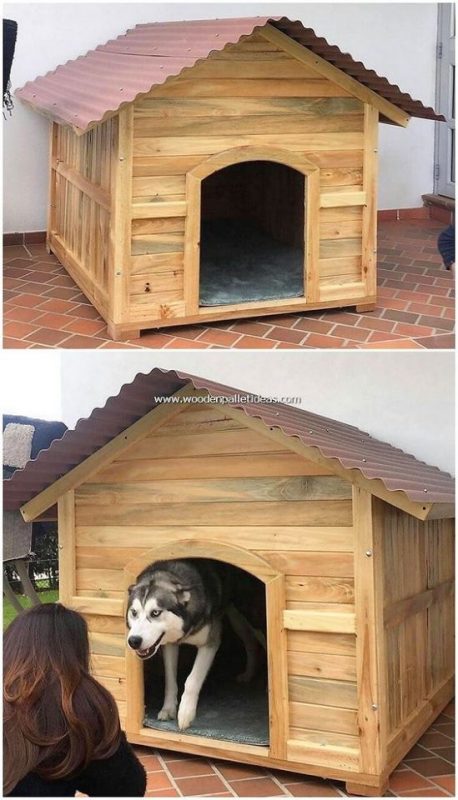 75 top idées de lits pour chiens à faire soi-même 56 75 top idées de lits pour chiens à faire soi-même 56
