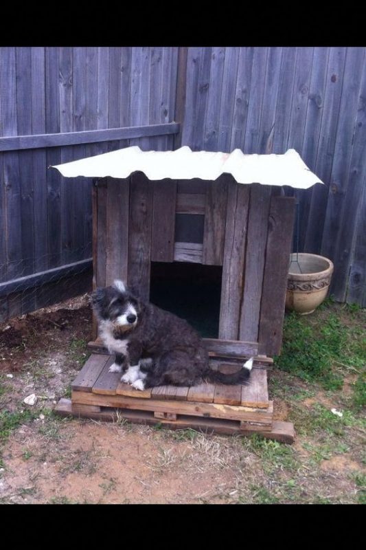 75 top idées de lits pour chiens à faire soi-même 64 75 top idées de lits pour chiens à faire soi-même 64