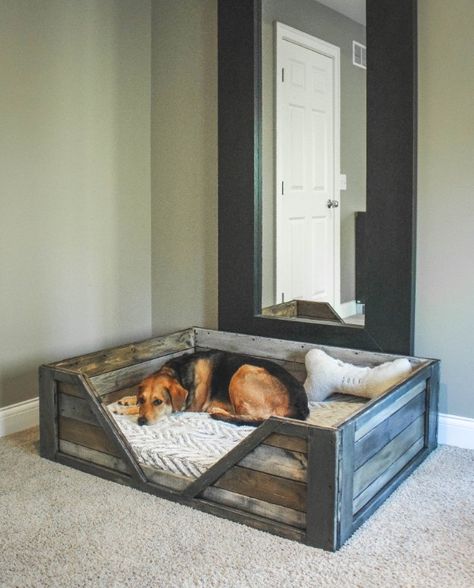 75 top idées de lits pour chiens à faire soi-même 1 75 top idées de lits pour chiens à faire soi-même 1