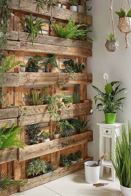 29 idées de mur végétal d'intérieur pour faire une jungle urbaine dans sa maison 2