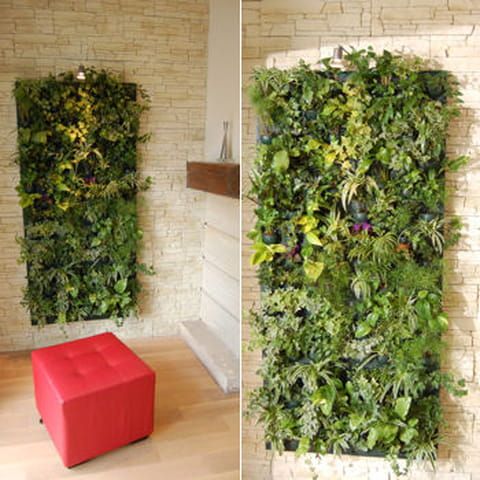 29 idées de mur végétal d'intérieur pour faire une jungle urbaine dans sa maison 12