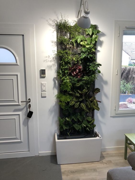 29 idées de mur végétal d'intérieur pour faire une jungle urbaine dans sa maison 14