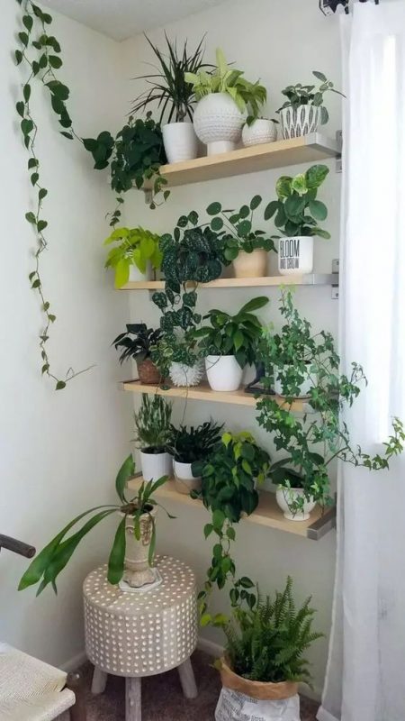29 idées de mur végétal d'intérieur pour faire une jungle urbaine dans sa maison 16