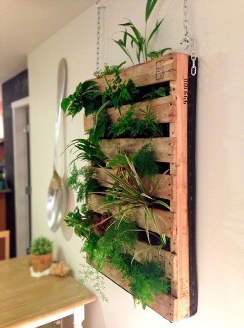 29 idées de mur végétal d'intérieur pour faire une jungle urbaine dans sa maison 25