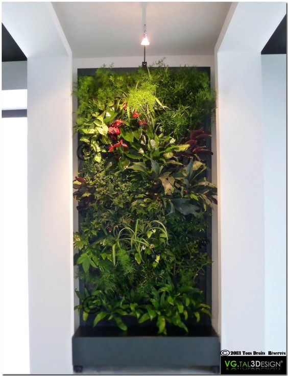 29 idées de mur végétal d'intérieur pour faire une jungle urbaine dans sa maison 5