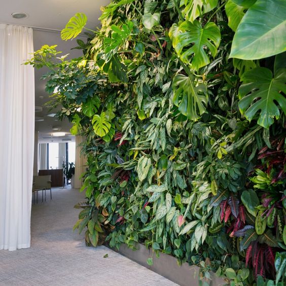 29 idées de mur végétal d'intérieur pour faire une jungle urbaine dans sa maison 8