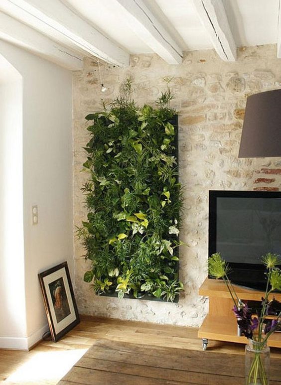 29 idées de mur végétal d'intérieur pour faire une jungle urbaine dans sa maison 1