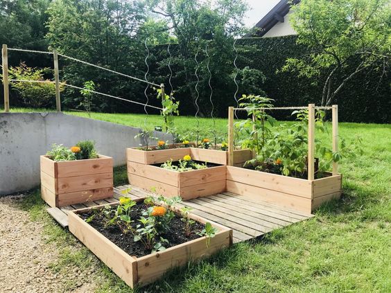 29 idées & astuces pour réussir son premier carré potager 16 29 idées & astuces pour réussir son premier carré potager 16