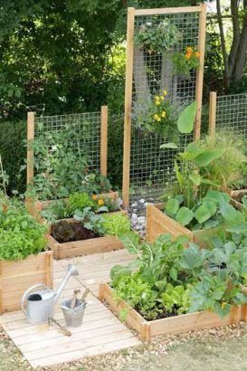 29 idées & astuces pour réussir son premier carré potager 18 29 idées & astuces pour réussir son premier carré potager 18