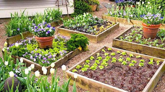 29 idées & astuces pour réussir son premier carré potager 20 29 idées & astuces pour réussir son premier carré potager 20