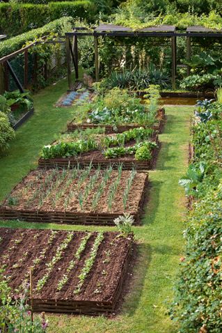 29 idées & astuces pour réussir son premier carré potager 22 29 idées & astuces pour réussir son premier carré potager 22