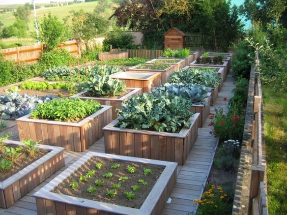 29 idées & astuces pour réussir son premier carré potager 3 29 idées & astuces pour réussir son premier carré potager 3