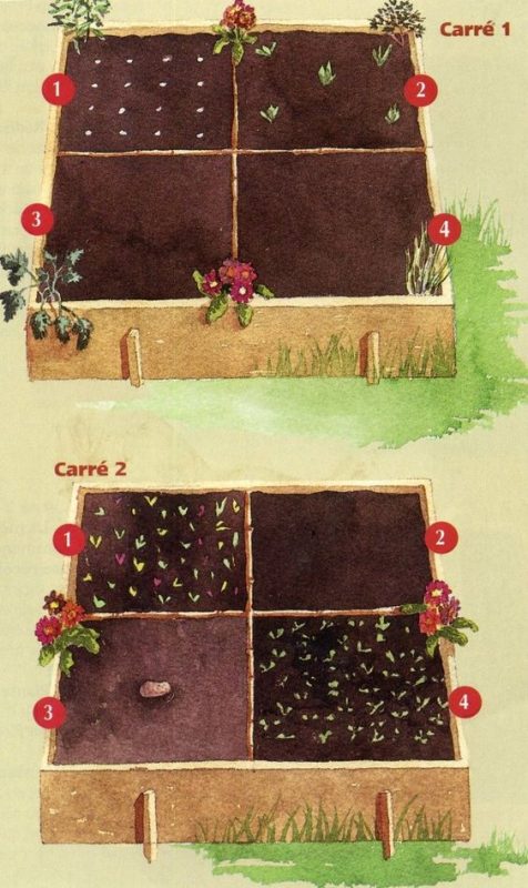 29 idées & astuces pour réussir son premier carré potager 25 29 idées & astuces pour réussir son premier carré potager 25