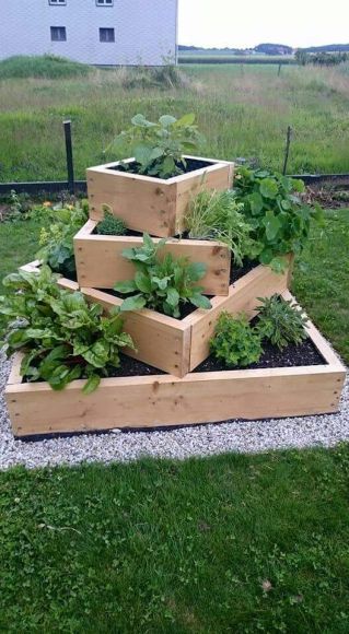 29 idées & astuces pour réussir son premier carré potager 26 29 idées & astuces pour réussir son premier carré potager 26