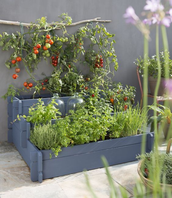 29 idées & astuces pour réussir son premier carré potager 28 29 idées & astuces pour réussir son premier carré potager 28