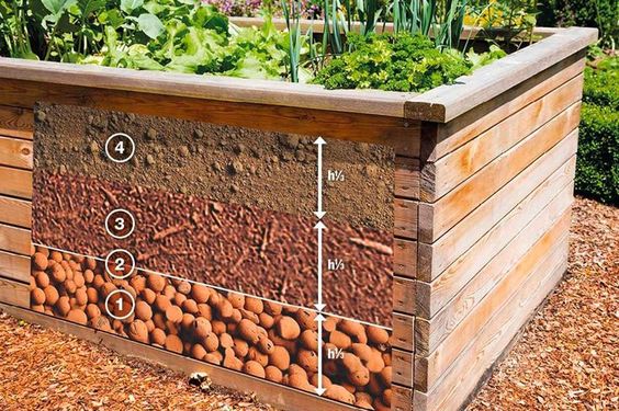 29 idées & astuces pour réussir son premier carré potager 5 29 idées & astuces pour réussir son premier carré potager 5