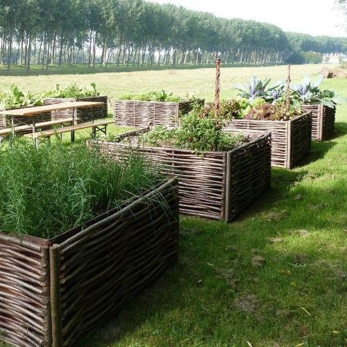 29 idées & astuces pour réussir son premier carré potager 8 29 idées & astuces pour réussir son premier carré potager 8