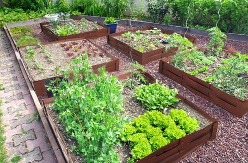 29 idées & astuces pour réussir son premier carré potager 9 29 idées & astuces pour réussir son premier carré potager 9