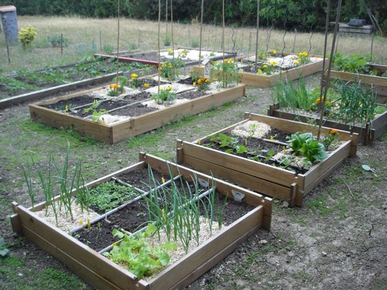 29 idées & astuces pour réussir son premier carré potager 10 29 idées & astuces pour réussir son premier carré potager 10