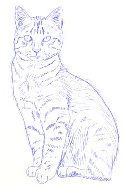 51 top idées & tutos de dessins de chat : pour apprendre à dessiner un chat 24 51 top idées & tutos de dessins de chat : pour apprendre à dessiner un chat 24