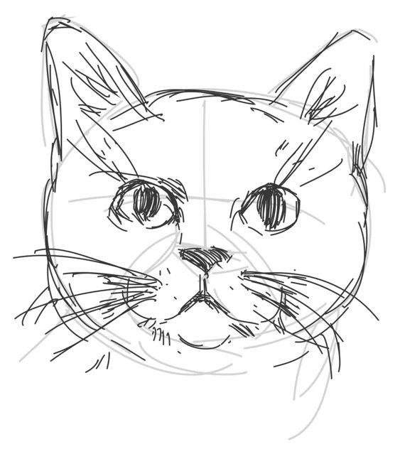 51 top idées & tutos de dessins de chat : pour apprendre à dessiner un chat 25 51 top idées & tutos de dessins de chat : pour apprendre à dessiner un chat 25