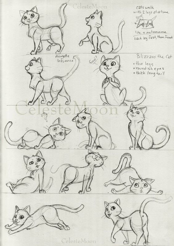 51 top idées & tutos de dessins de chat : pour apprendre à dessiner un chat 26 51 top idées & tutos de dessins de chat : pour apprendre à dessiner un chat 26