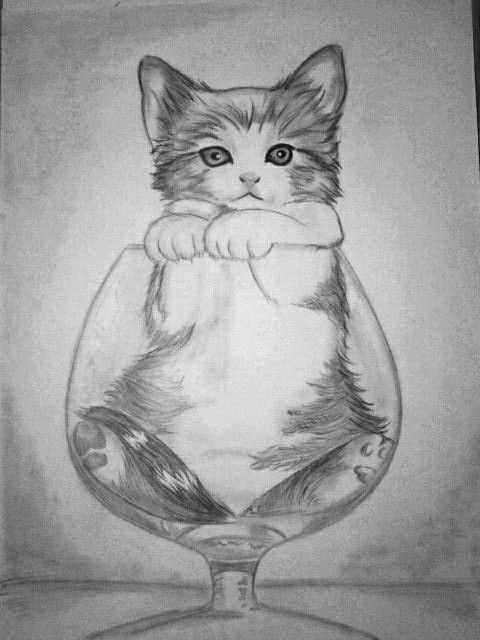 51 top idées & tutos de dessins de chat : pour apprendre à dessiner un chat 29 51 top idées & tutos de dessins de chat : pour apprendre à dessiner un chat 29