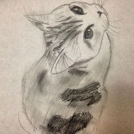 51 top idées & tutos de dessins de chat : pour apprendre à dessiner un chat 32 51 top idées & tutos de dessins de chat : pour apprendre à dessiner un chat 32
