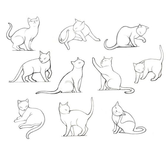 51 top idées & tutos de dessins de chat : pour apprendre à dessiner un chat 33 51 top idées & tutos de dessins de chat : pour apprendre à dessiner un chat 33