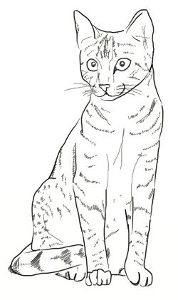 51 top idées & tutos de dessins de chat : pour apprendre à dessiner un chat 34 51 top idées & tutos de dessins de chat : pour apprendre à dessiner un chat 34