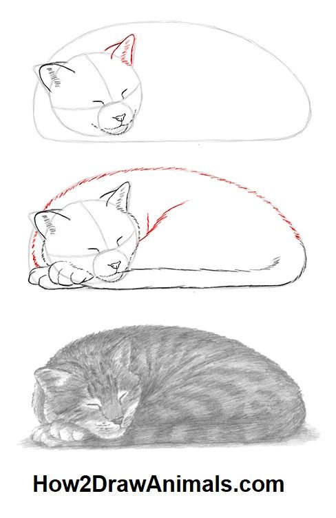 51 top idées & tutos de dessins de chat : pour apprendre à dessiner un chat 35 51 top idées & tutos de dessins de chat : pour apprendre à dessiner un chat 35