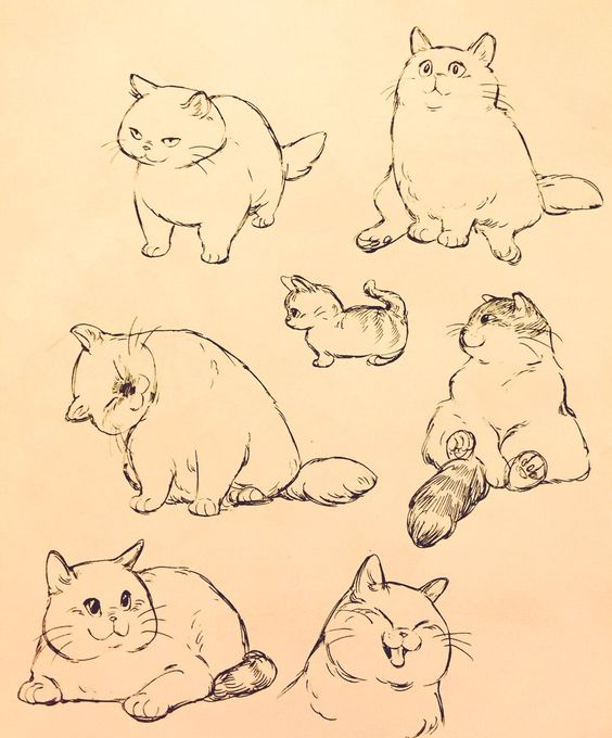 51 top idées & tutos de dessins de chat : pour apprendre à dessiner un chat 40 51 top idées & tutos de dessins de chat : pour apprendre à dessiner un chat 40