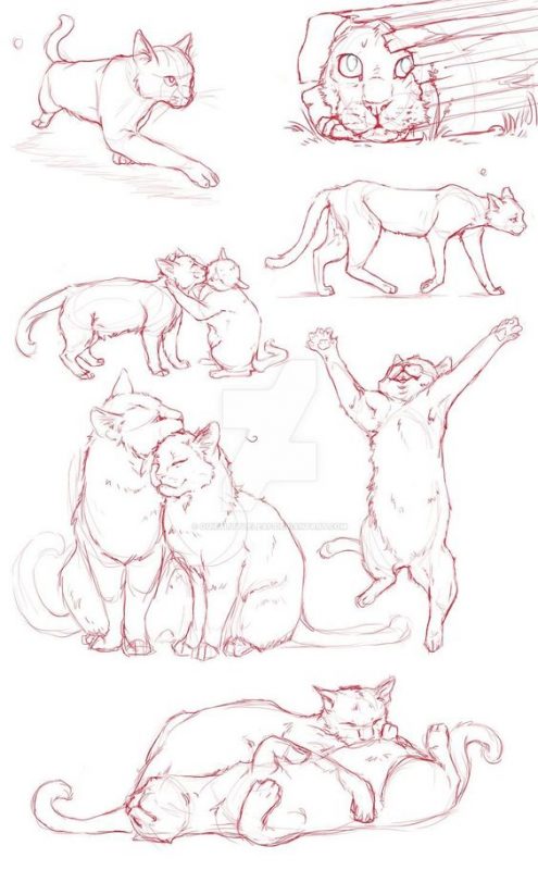 51 top idées & tutos de dessins de chat : pour apprendre à dessiner un chat 45 51 top idées & tutos de dessins de chat : pour apprendre à dessiner un chat 45