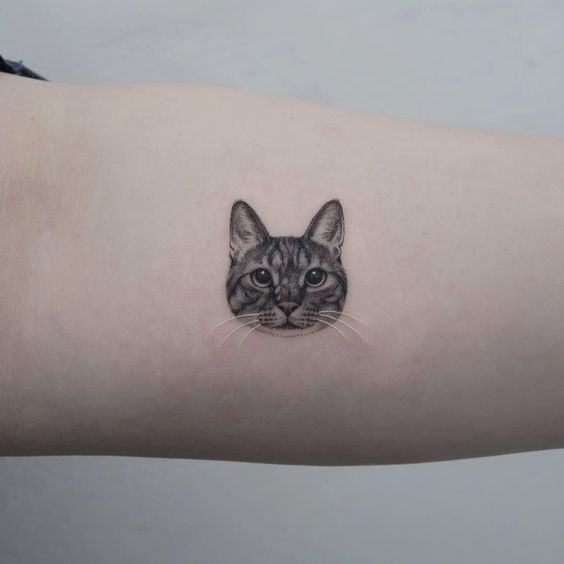 100 idées de tatouages pour les amoureux des chats 46 100 idées de tatouages pour les amoureux des chats 46