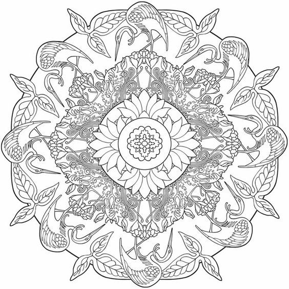 100 top idées de dessins & coloriages mandala 101