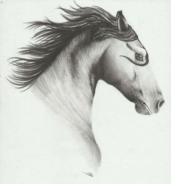 28 idées & tutos dessins de cheval : pour apprendre à dessiner des chevaux 12 28 idées & tutos dessins de cheval : pour apprendre à dessiner des chevaux 12