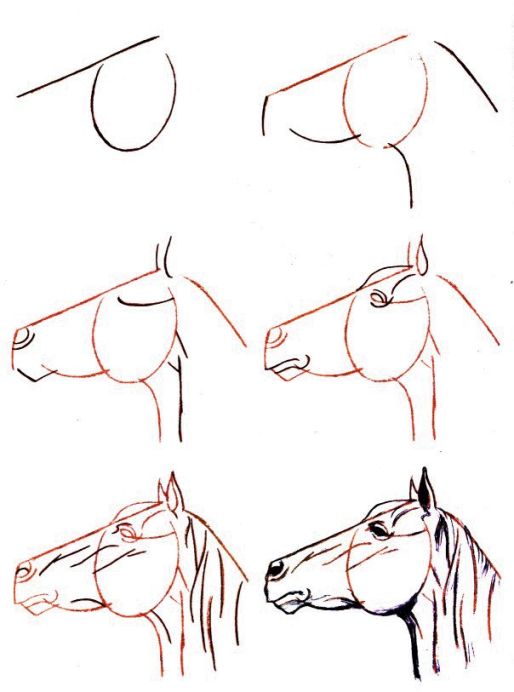 28 idées & tutos dessins de cheval : pour apprendre à dessiner des chevaux 14 28 idées & tutos dessins de cheval : pour apprendre à dessiner des chevaux 14