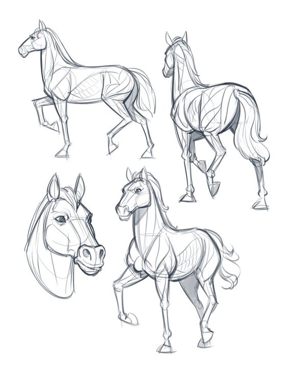 28 idées & tutos dessins de cheval : pour apprendre à dessiner des chevaux 19 28 idées & tutos dessins de cheval : pour apprendre à dessiner des chevaux 19