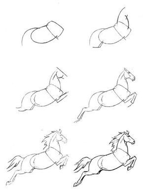 28 idées & tutos dessins de cheval : pour apprendre à dessiner des chevaux 24 28 idées & tutos dessins de cheval : pour apprendre à dessiner des chevaux 24