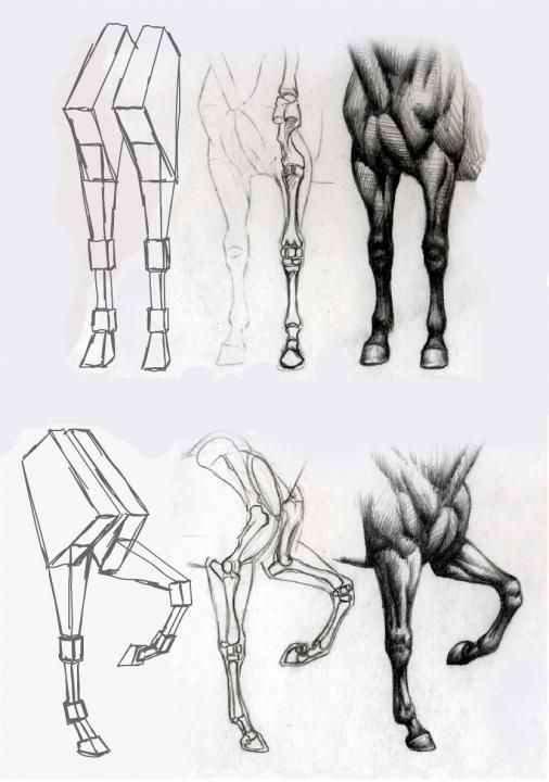 28 idées & tutos dessins de cheval : pour apprendre à dessiner des chevaux 26 28 idées & tutos dessins de cheval : pour apprendre à dessiner des chevaux 26