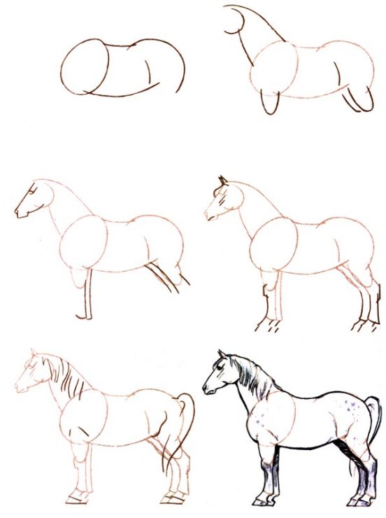 28 idées & tutos dessins de cheval : pour apprendre à dessiner des chevaux 7 28 idées & tutos dessins de cheval : pour apprendre à dessiner des chevaux 7