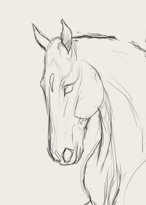 28 idées & tutos dessins de cheval : pour apprendre à dessiner des chevaux 9 28 idées & tutos dessins de cheval : pour apprendre à dessiner des chevaux 9
