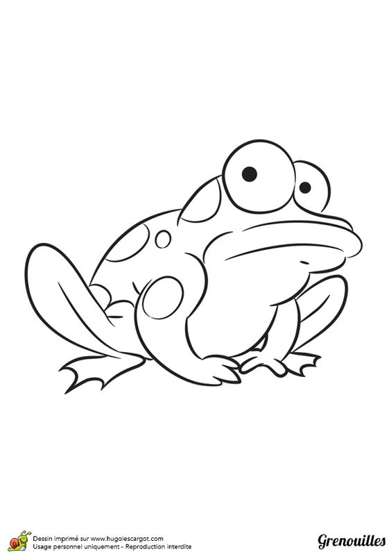 41 top idées de dessins & coloriages de grenouilles 12