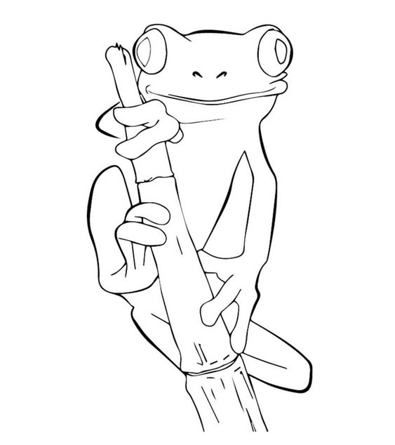 41 top idées de dessins & coloriages de grenouilles 15 41 top idées de dessins & coloriages de grenouilles 15