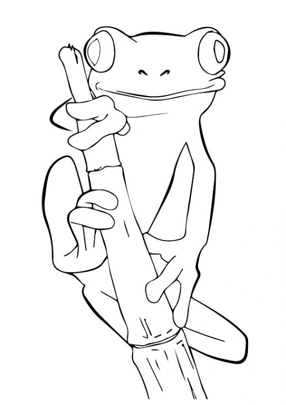 41 top idées de dessins & coloriages de grenouilles 17 41 top idées de dessins & coloriages de grenouilles 17