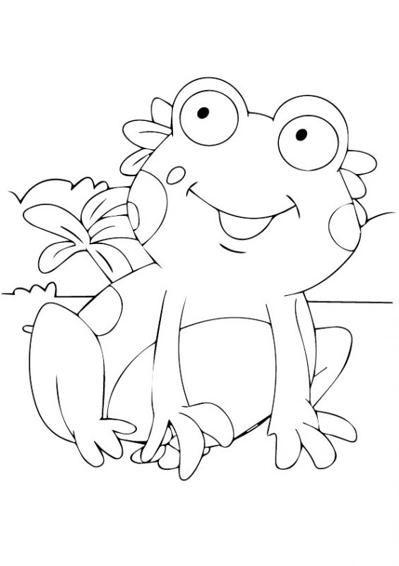 41 top idées de dessins & coloriages de grenouilles 19