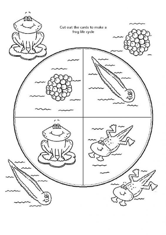 41 top idées de dessins & coloriages de grenouilles 20 41 top idées de dessins & coloriages de grenouilles 20